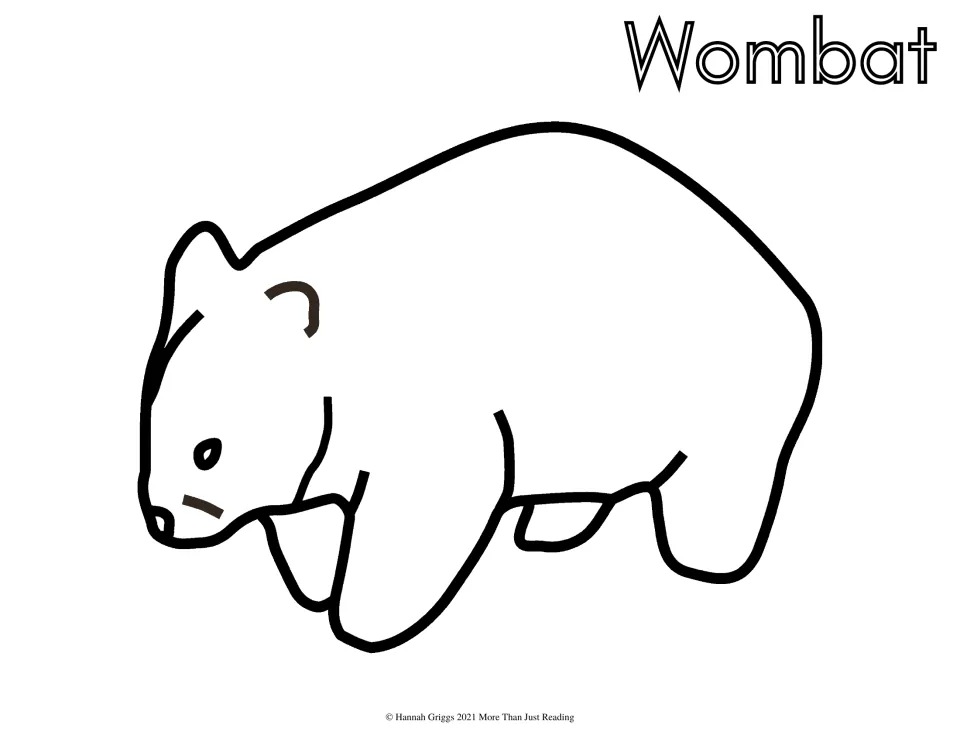 Wombat coloring page: students color a simple bold-line wombat with small ears and a stocky body, labeled Wombat