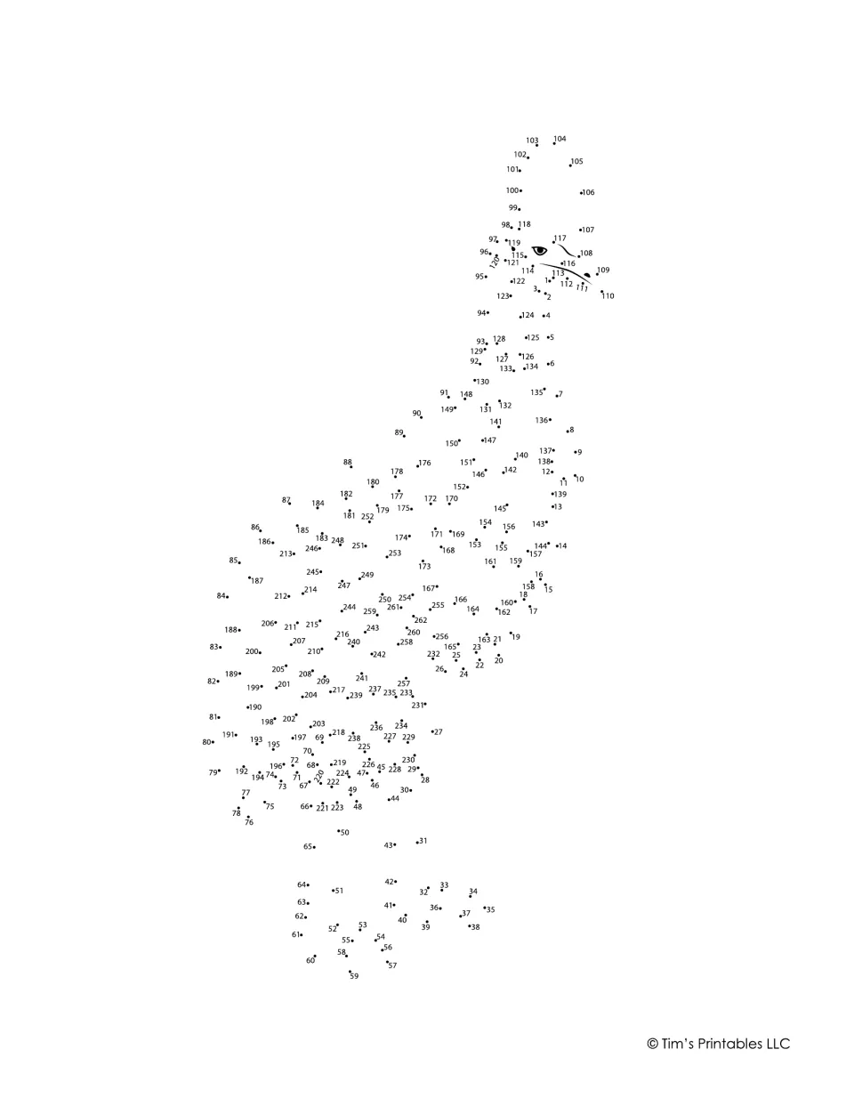 Tall dot-to-dot numbered 1 to 262: students join the dots in sequence down from a drawn eye and beak