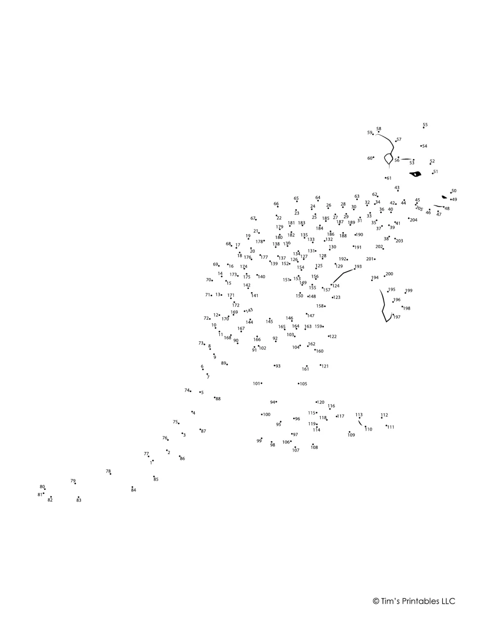 Dot-to-dot numbered 1 to 205: students join the dots in order from a beaked head down to a long tail