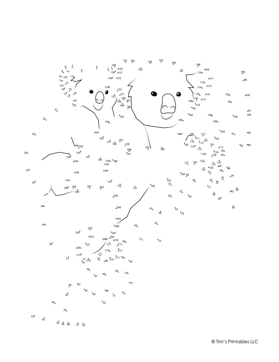 Koala dot-to-dot: students join dots 1 to 224 in order to finish an adult koala carrying a baby koala