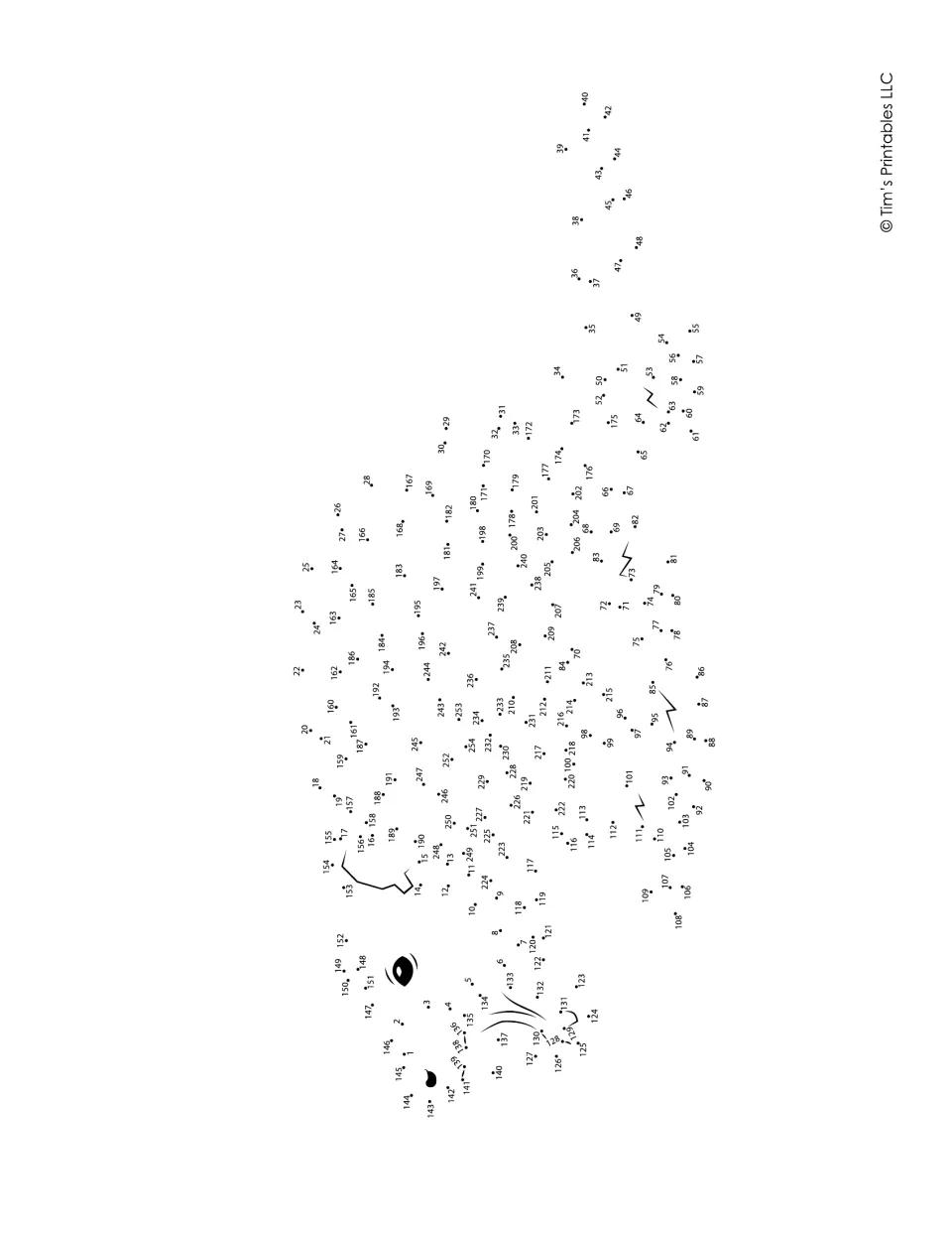 Sideways dot-to-dot with over 250 numbered dots: students connect them in order to draw an animal with whiskers