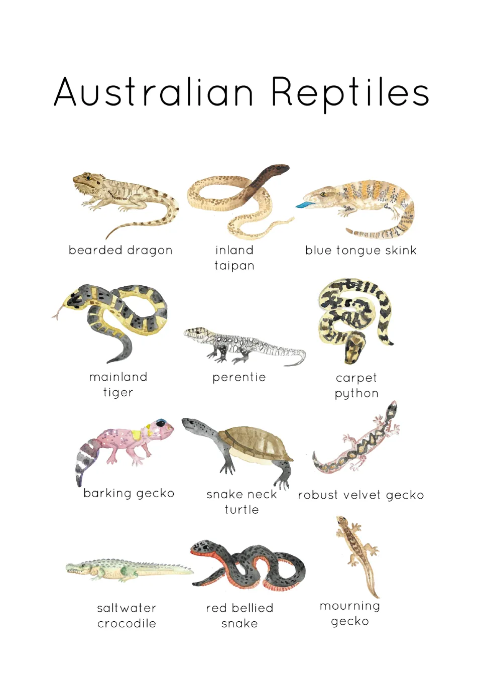 Identification poster of 12 Australian reptiles, including bearded dragon, inland taipan and blue tongue skink