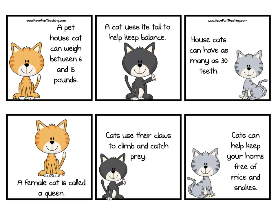 Six cat fact cards to sort as informing, such as a female cat is called a queen and cats use their tails for balance