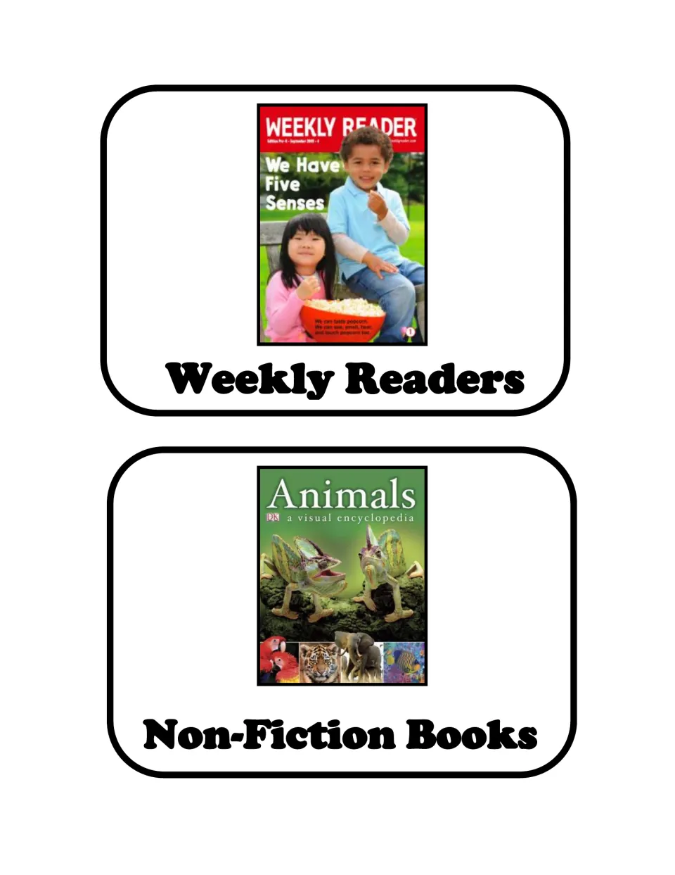 Inform picture cards: a Weekly Reader issue on the five senses and an Animals visual encyclopedia as non-fiction