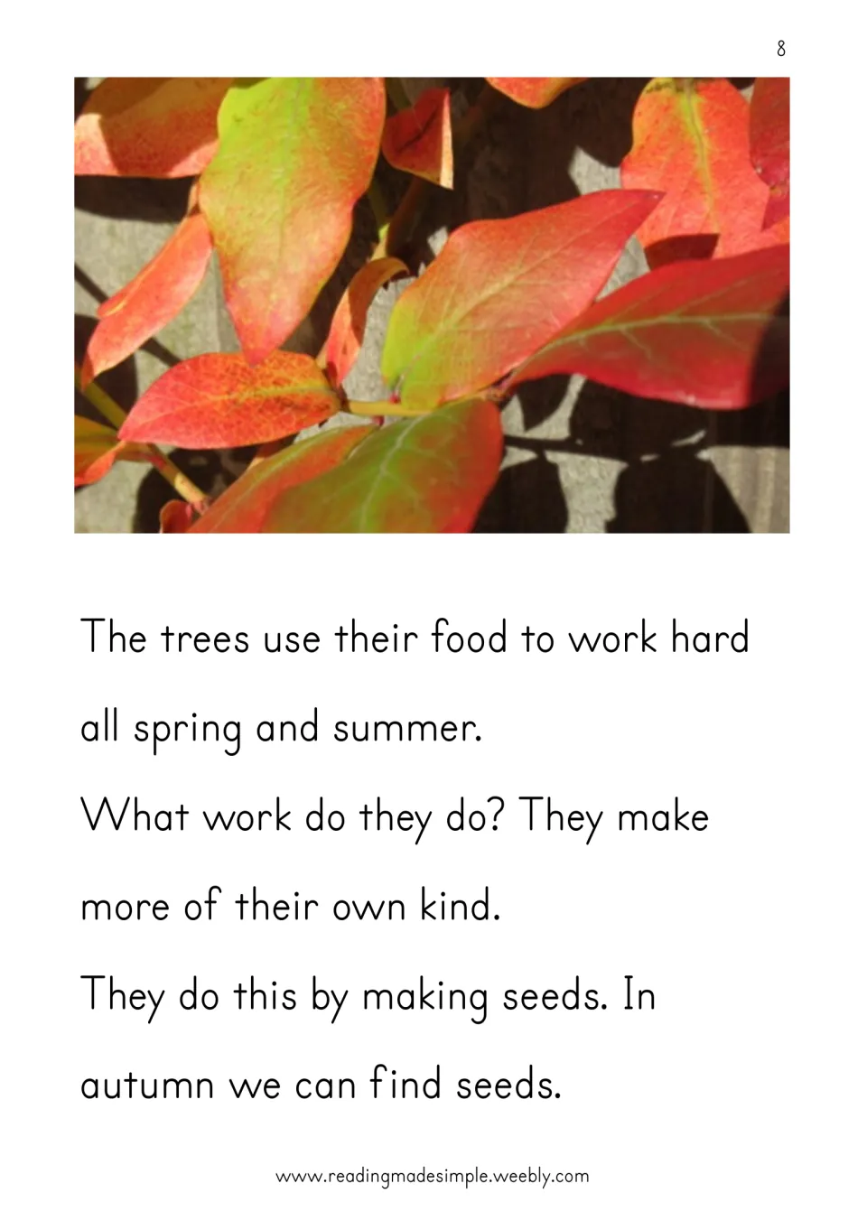 Trees make seeds in autumn: students read how trees use food to make more trees, with a photo of red and orange leaves