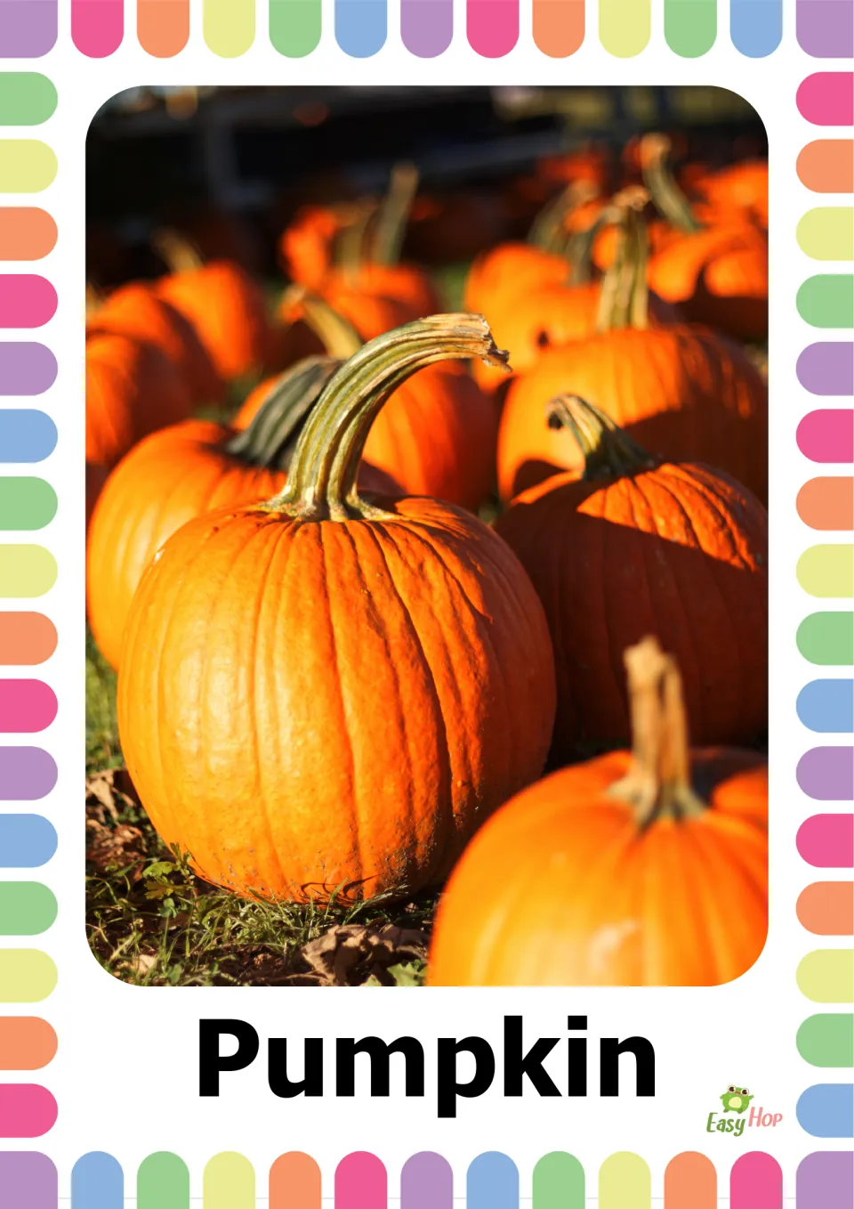 Autumn vocabulary flashcard 1: the word 'Pumpkin' beneath a photograph of orange pumpkins with curved stems