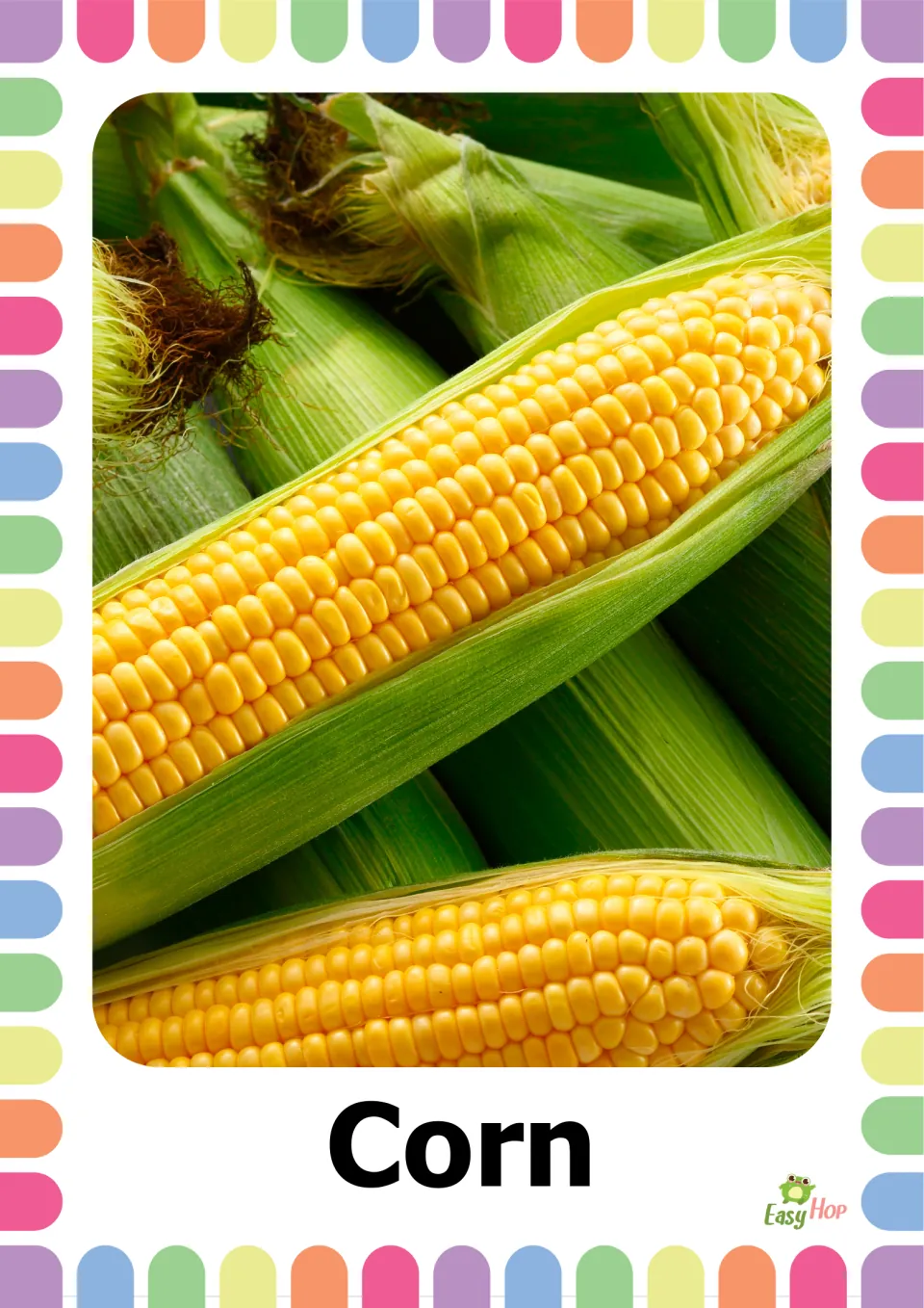 Autumn vocabulary flashcard 7: the word 'Corn' beneath a photograph of yellow corn kernels exposed in green husks
