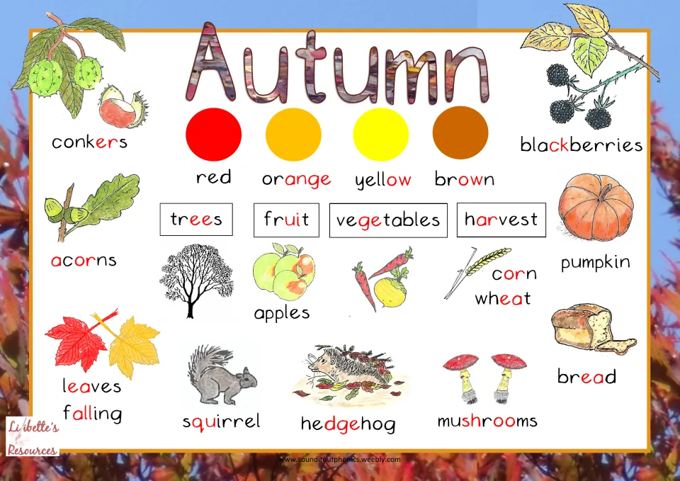 Autumn vocabulary mat: pictured words like conkers, acorns, pumpkin and hedgehog with phonics sounds coded in red