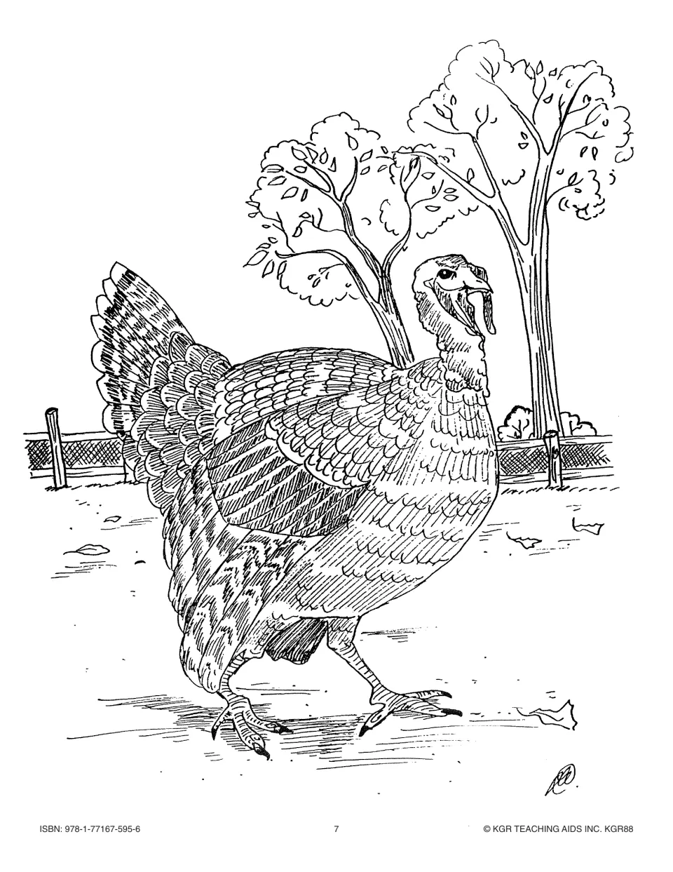 Thanksgiving picture collection coloring page showing a turkey outdoors for vocabulary or classroom displays