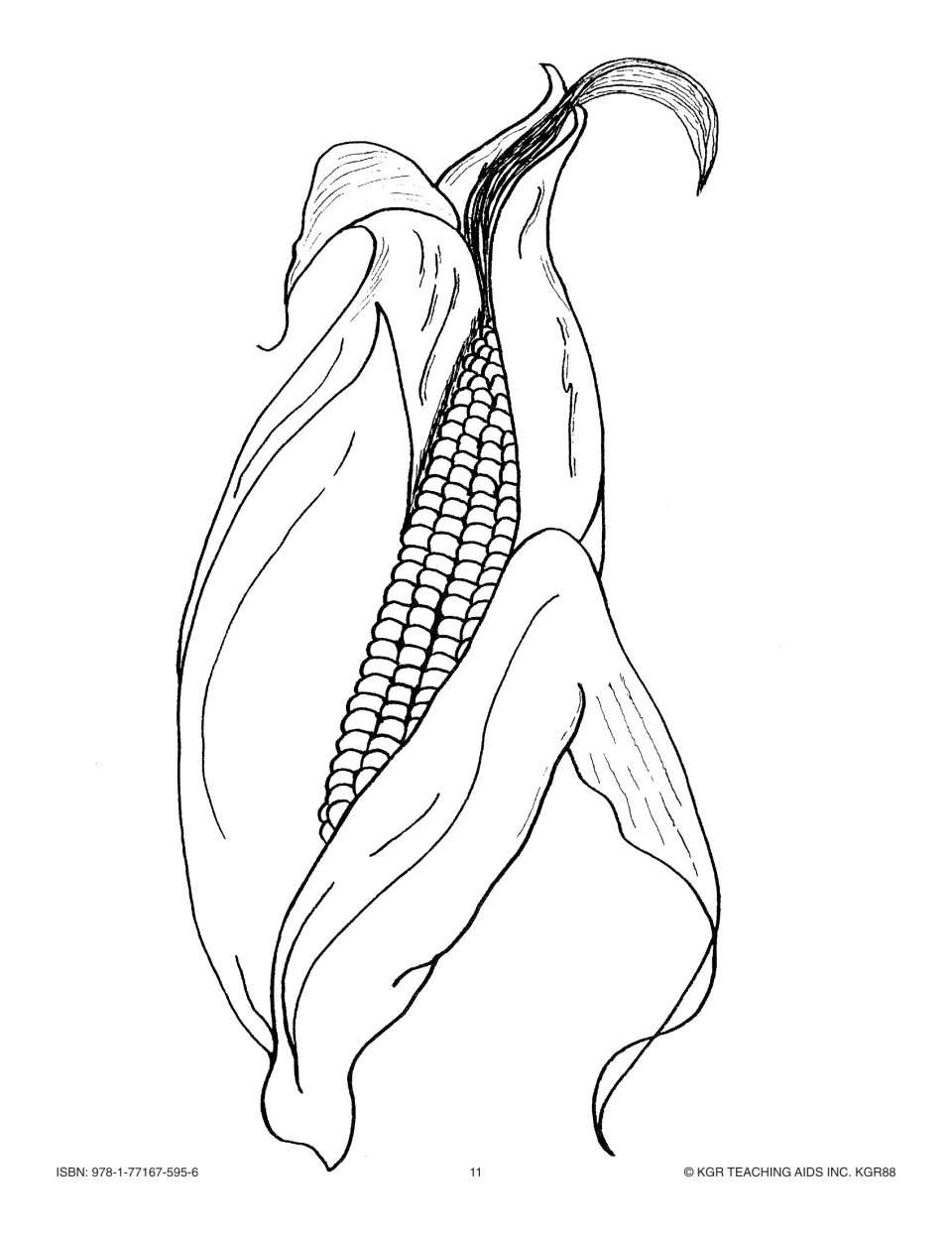 Fall picture collection coloring page showing one ear of corn in its husk for vocabulary or classroom displays