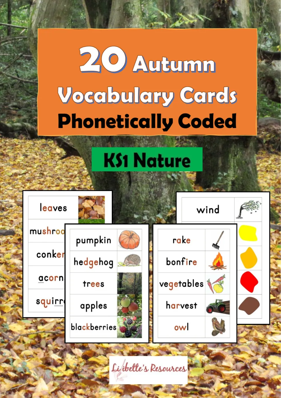 Cover: 20 Autumn Vocabulary Cards, Phonetically Coded, KS1 Nature, showing word-and-picture cards such as pumpkin and owl