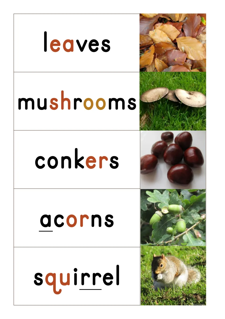 Autumn nature word cards: leaves, mushrooms, conkers, acorns and squirrel, each with a photo and its sounds marked in color