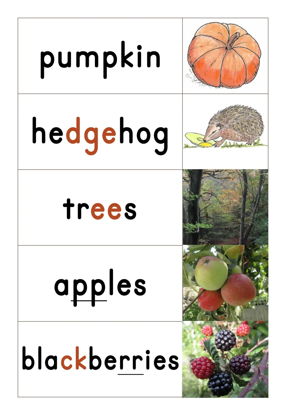 Autumn word cards for pumpkin, hedgehog, trees, apples and blackberries, pictured with sounds like dge and ck in color