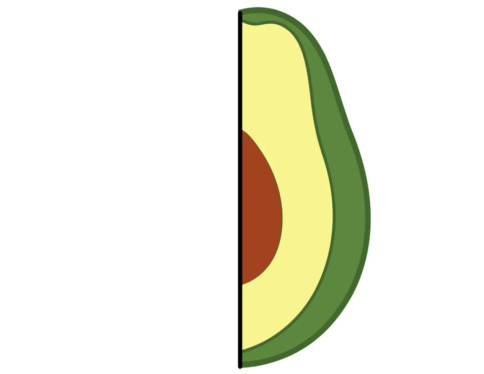 Colored avocado half with green skin, yellow flesh and brown pit, a cut-out piece that pairs with a matching half