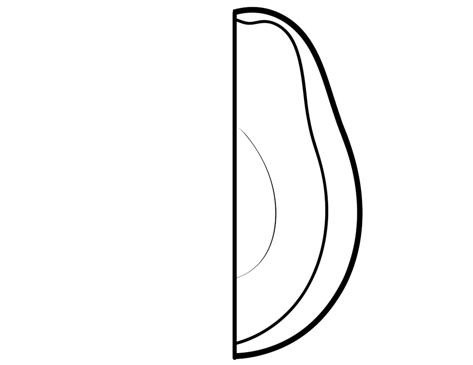 Outline of an avocado half with skin, flesh and pit shapes, a cut-out piece for students to color in themselves