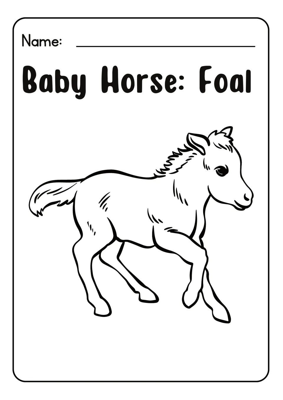 Baby Horse: Foal coloring sheet: students color a young horse trotting, with a short mane and swishing tail