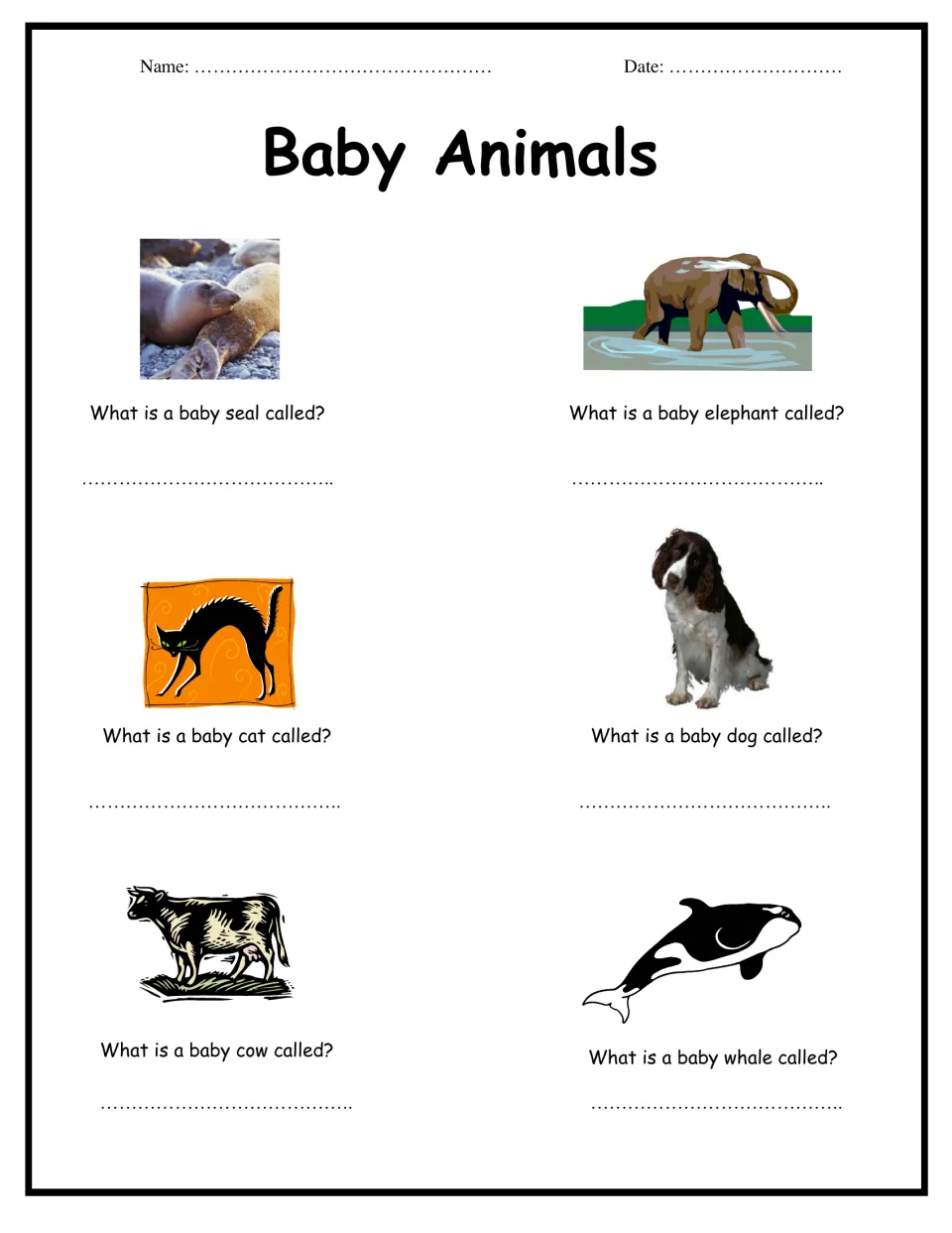 Animal young names: students write what a baby seal, elephant, cat, dog, cow and whale is called under each picture