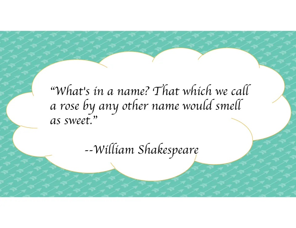 Shakespeare quote on names: "What's in a name? That which we call a rose by any other name would smell as sweet."