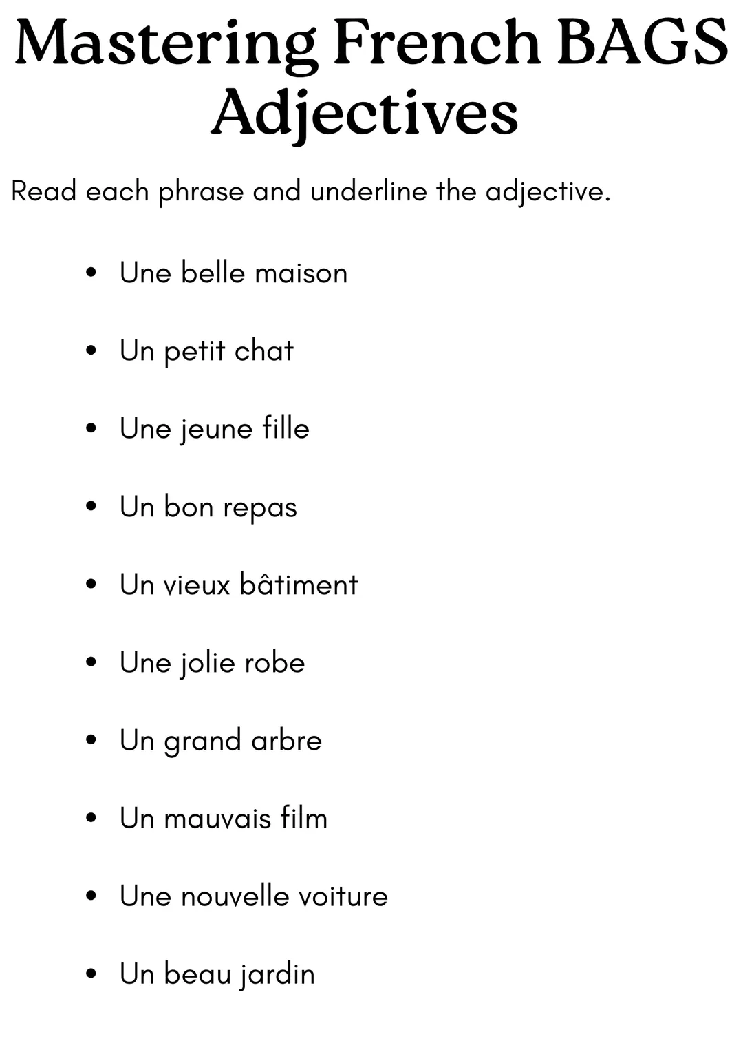 bags adjectives french exercises worksheet with answers – cover