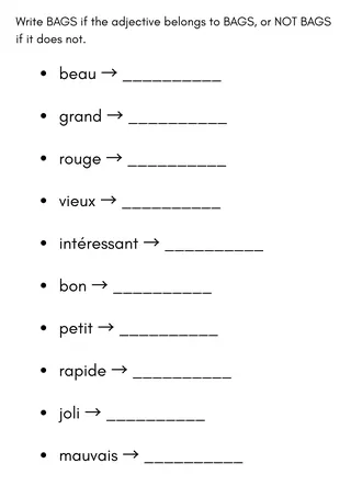 bags adjectives french exercises worksheet with answers – sample page 2
