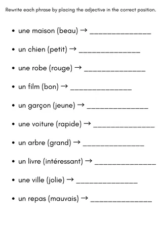 bags adjectives french exercises worksheet with answers – sample page 3