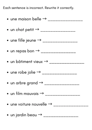 bags adjectives french exercises worksheet with answers – sample page 4