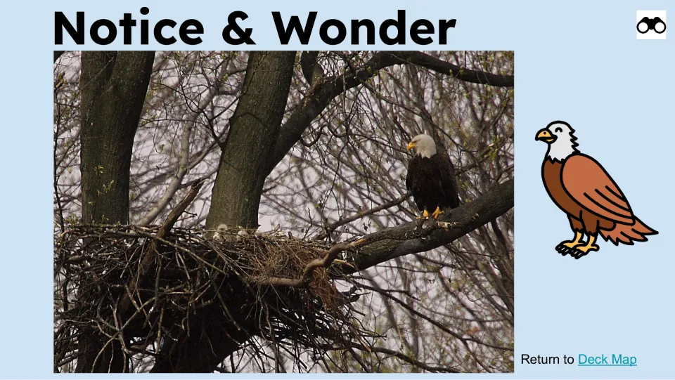 Notice & Wonder observation slide shows a bald eagle perched on a tree branch beside a large stick nest