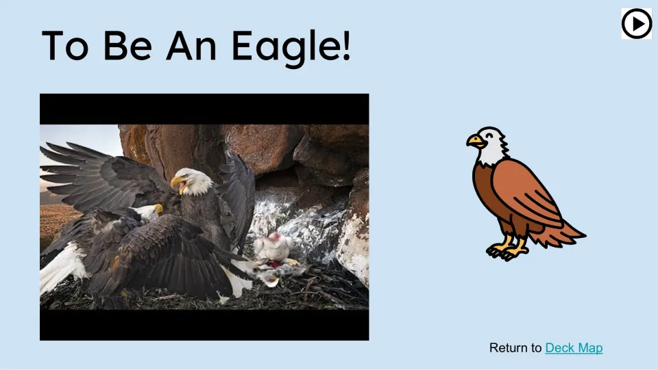 To Be An Eagle! video engager slide shows adult bald eagles and a chick at a nest beside a rock face