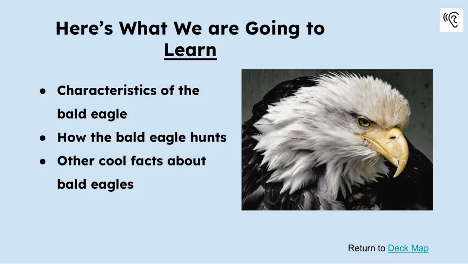 Learning preview lists bald eagle characteristics, how the bird hunts, and other facts about bald eagles