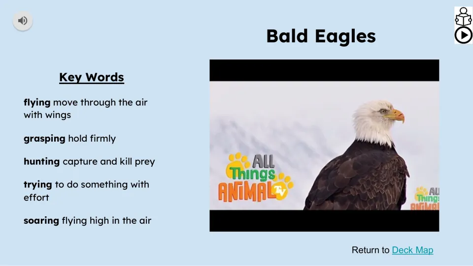 Video lesson slide defines flying, grasping, hunting, trying, and soaring alongside a bald eagle video
