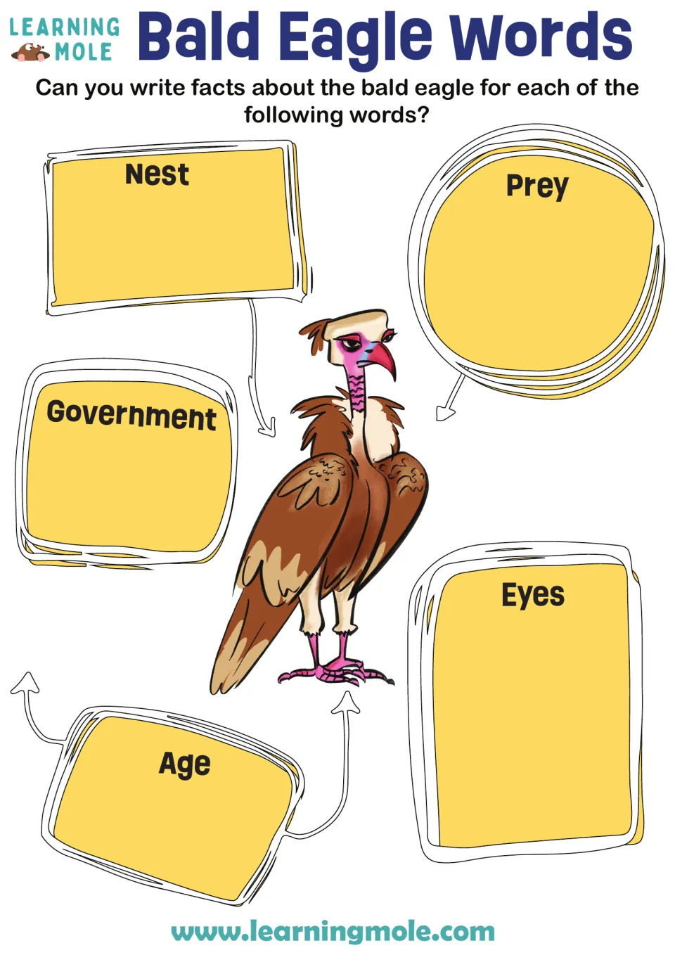 Bald eagle facts: students write a fact about the bird for each prompt word: nest, prey, government, eyes and age