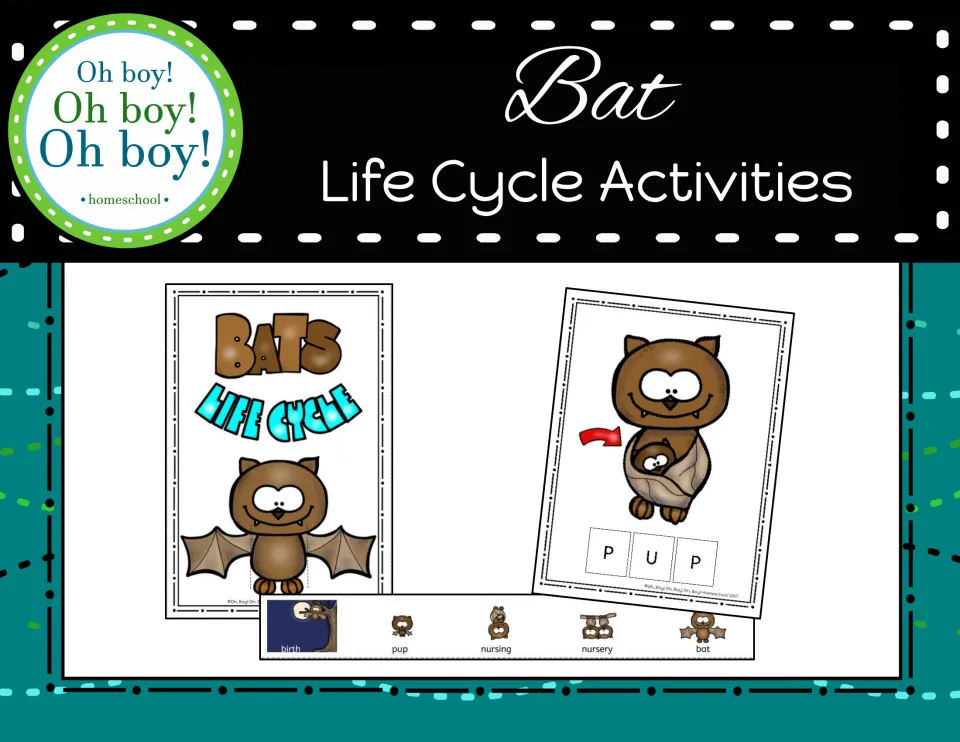 Bat Life Cycle Activities cover showing a Bats Life Cycle booklet, a lift-a-flap pup card and a birth-to-bat strip