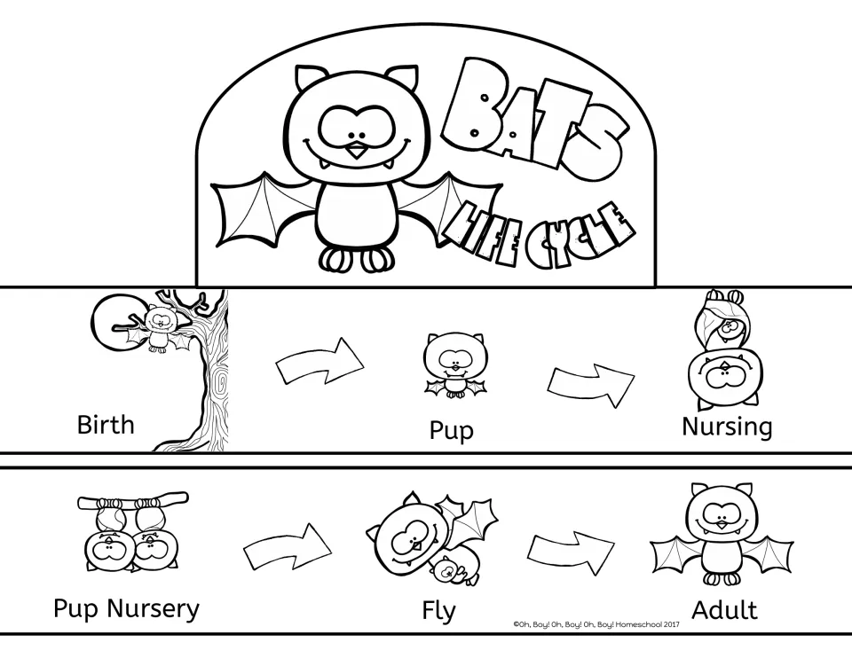 Bats life cycle crown: students color and assemble a headband showing birth, pup, nursing, pup nursery, fly and adult