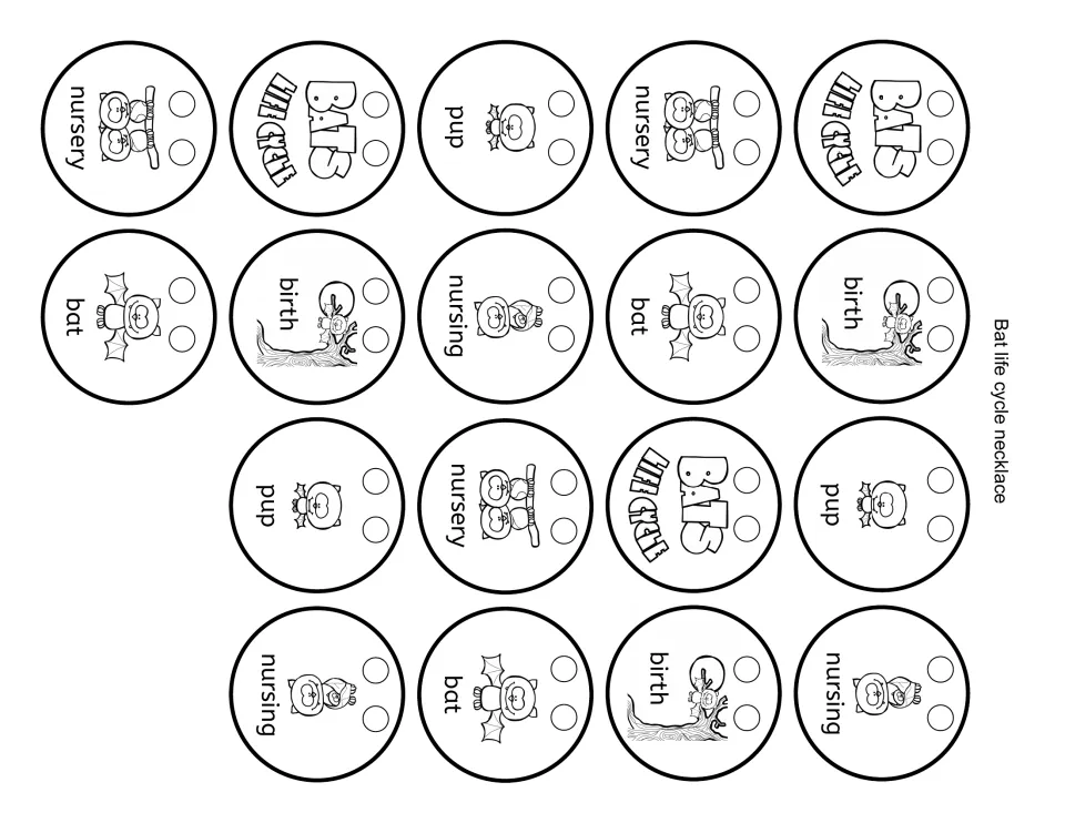 Bat life cycle necklace beads: 18 round cut-outs labeled birth, pup, nursing, nursery and bat, each with two punch holes