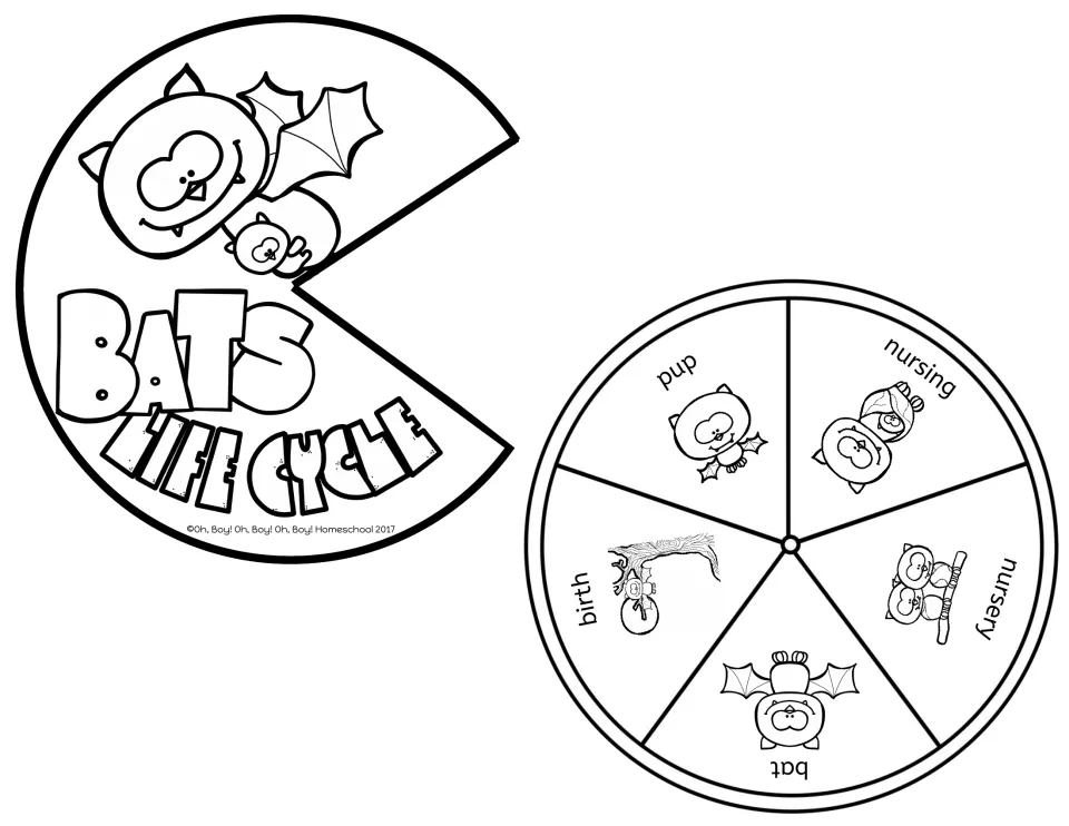 Life cycle spinner: a five-part wheel showing birth, pup, nursing, nursery and bat, plus a Bats Life Cycle cover to attach