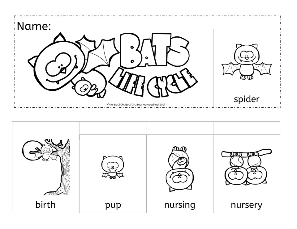 Lift-a-flap booklet: pictured flaps for birth, pup, nursing and nursery, with a Name line and an adult bat labeled spider