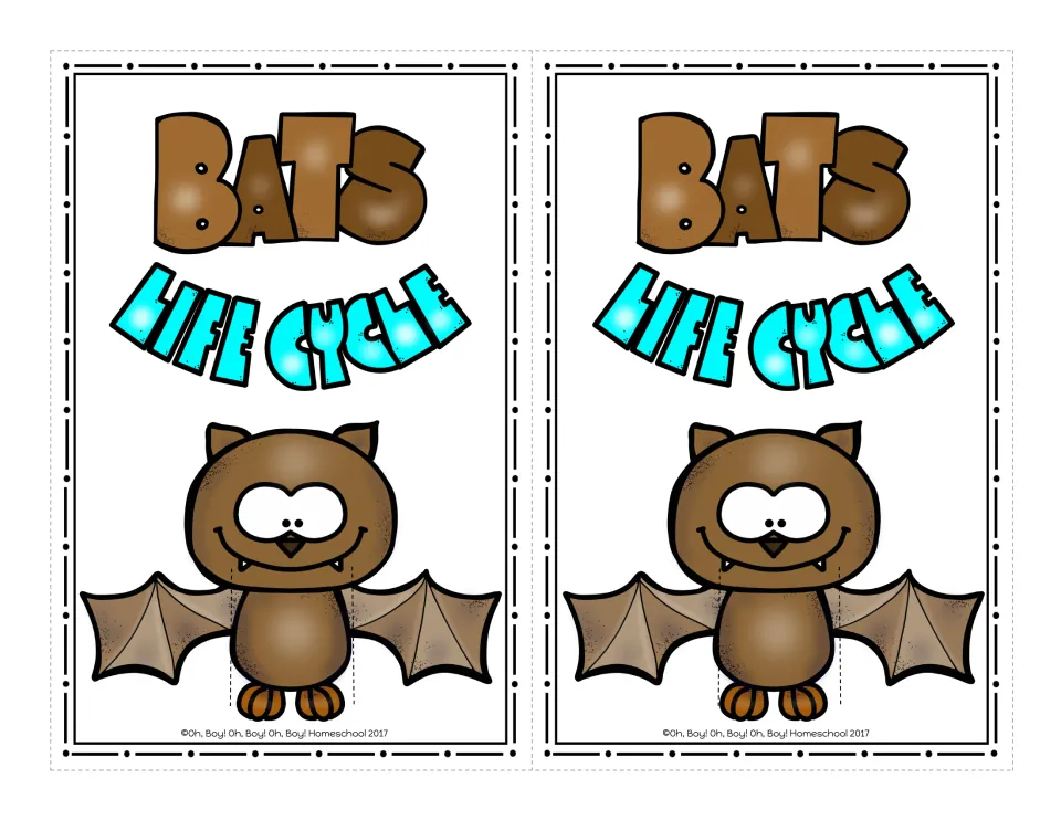 Color bat slider holders: two Bats Life Cycle cards with a brown bat and dashed slits on its body for a picture strip