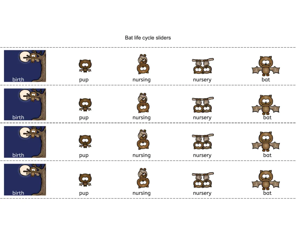 Bat life cycle sliders: four color strips picturing birth, pup, nursing, nursery and bat to pull through the bat holder