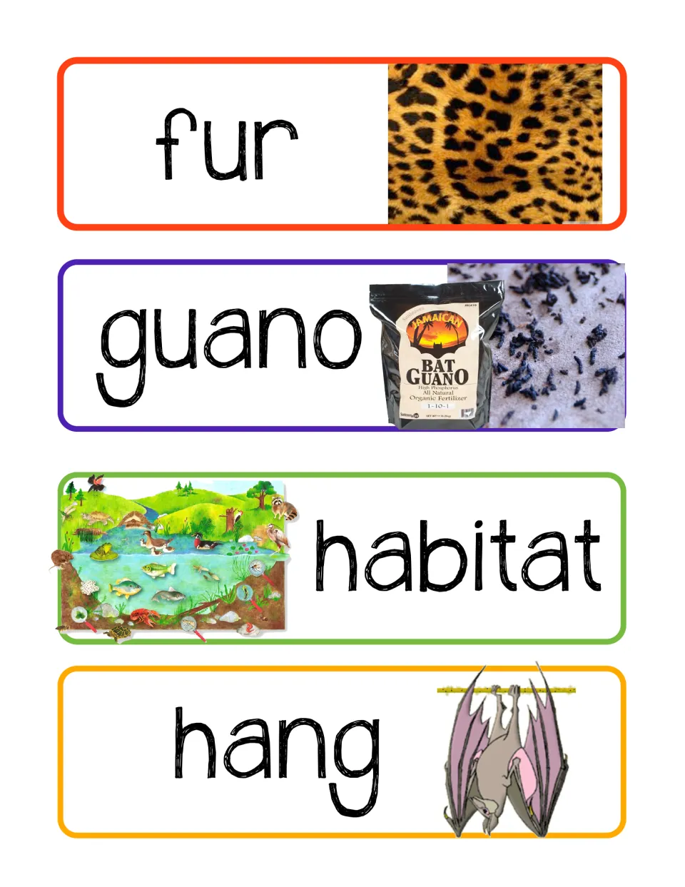 Bat vocabulary cards 9–12: fur, guano, habitat, and hang, illustrated with fur, droppings, and hanging bats