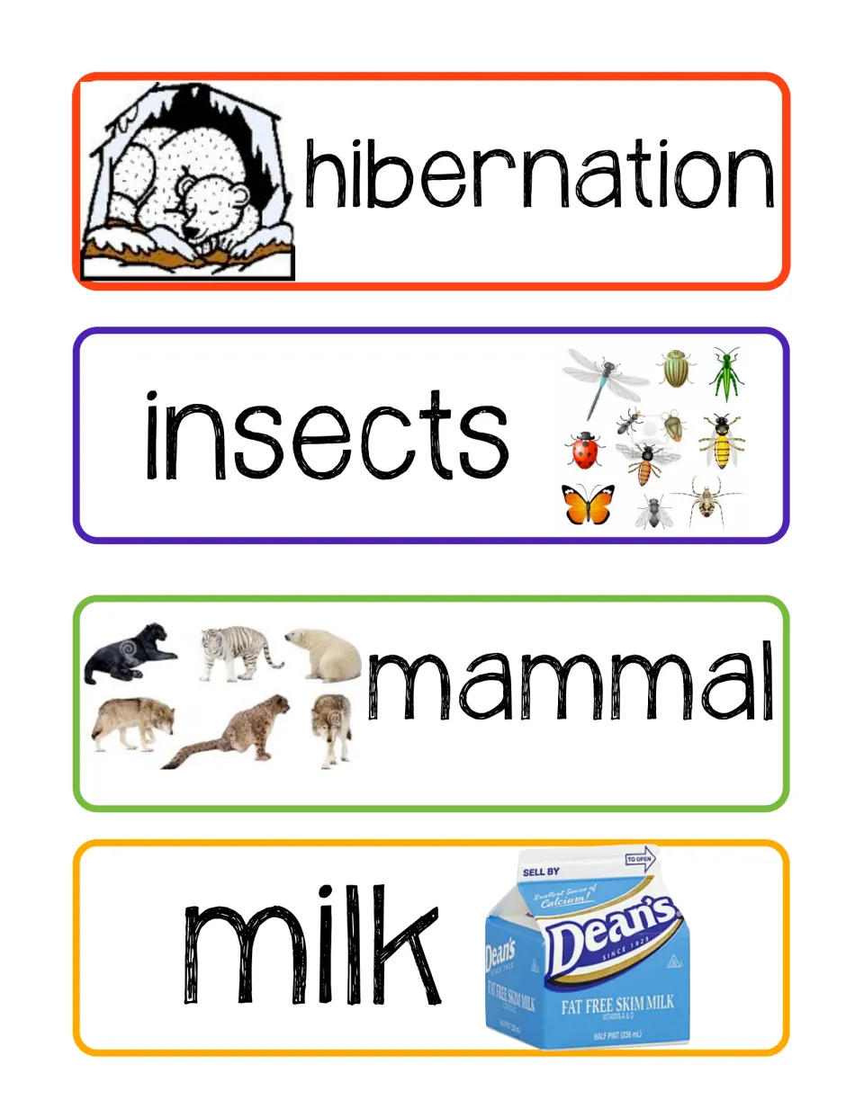Bat vocabulary cards 13–16: hibernation, insects, mammal, and milk, each paired with a supporting picture
