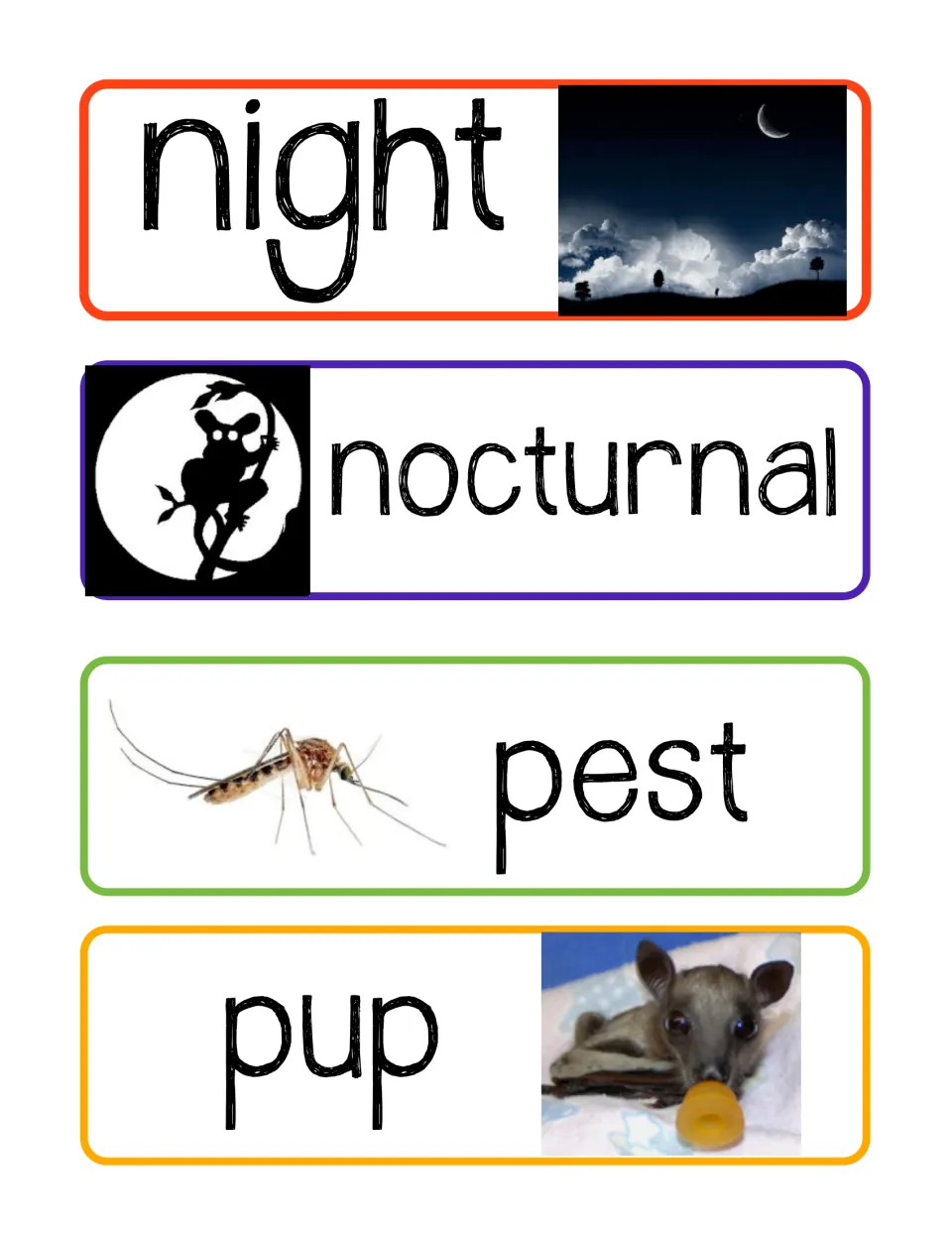 Bat vocabulary cards 17–20: night, nocturnal, pest, and pup, with pictures including a mosquito and baby bat