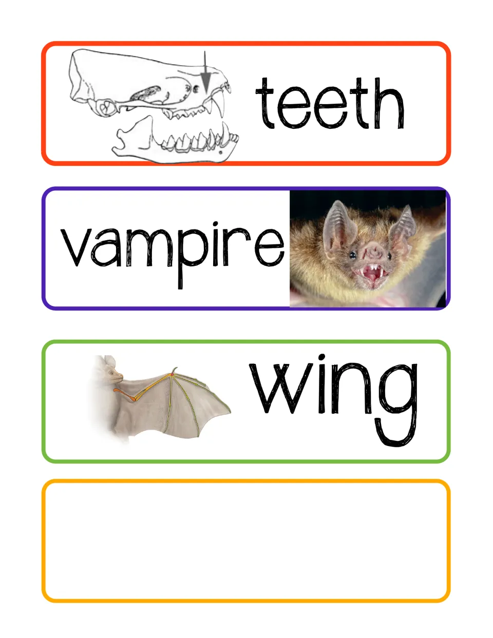 Bat vocabulary cards 21–23: teeth, vampire, and wing, illustrated with a skull, a bat, and wing anatomy