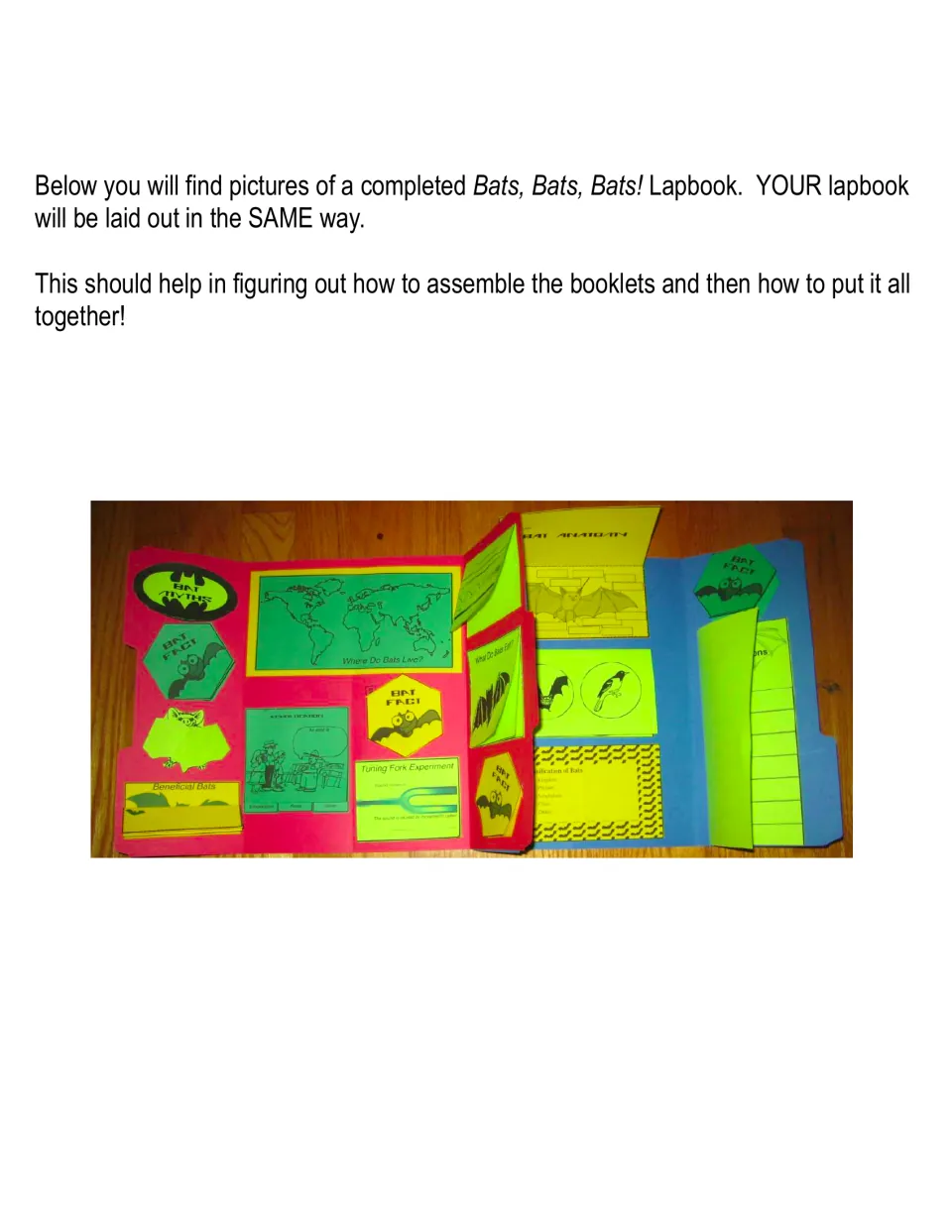Completed lapbook example shows the two connected folders with assembled bat booklets to guide placement