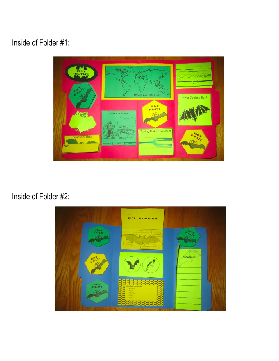 Separate completed examples show booklet placement inside Folders 1 and 2, including an open bat anatomy booklet