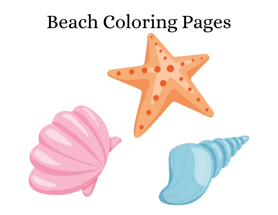 Beach Coloring Pages cover showing a full-color orange starfish, a pink scallop shell and a blue spiral seashell