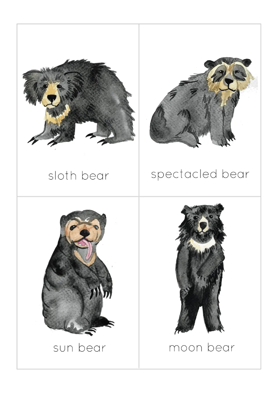 Bear flashcards: sloth bear, spectacled bear, sun bear and moon bear, each painted in watercolor above its name