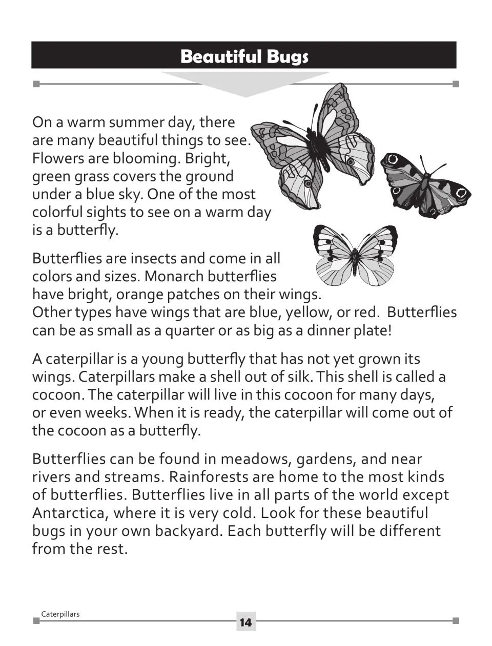 Nonfiction text on butterflies: colors and sizes, caterpillars making silk cocoons, and where butterflies live
