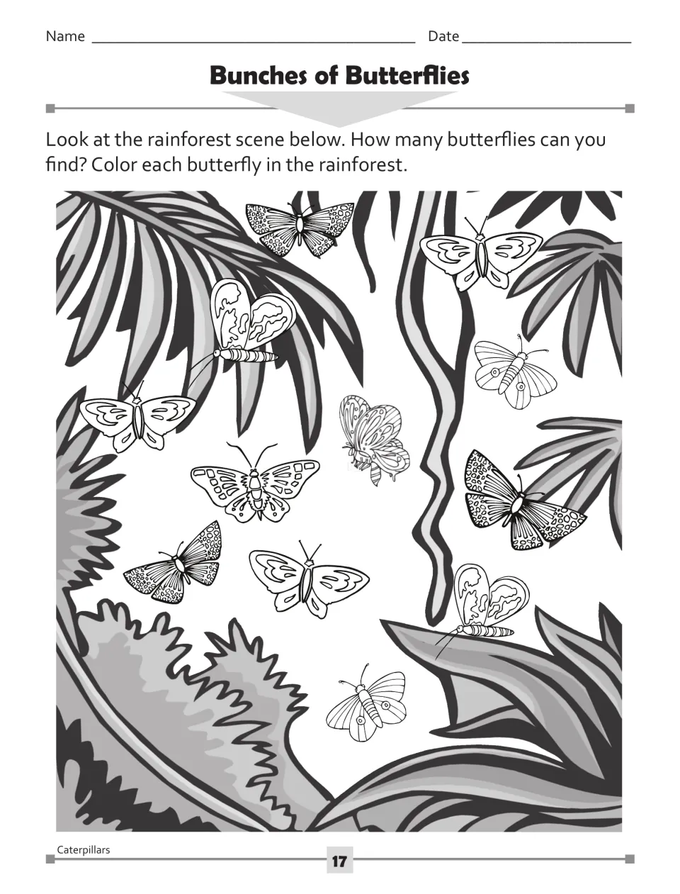 Bunches of Butterflies: find and color each butterfly in a rainforest scene, then count how many there are
