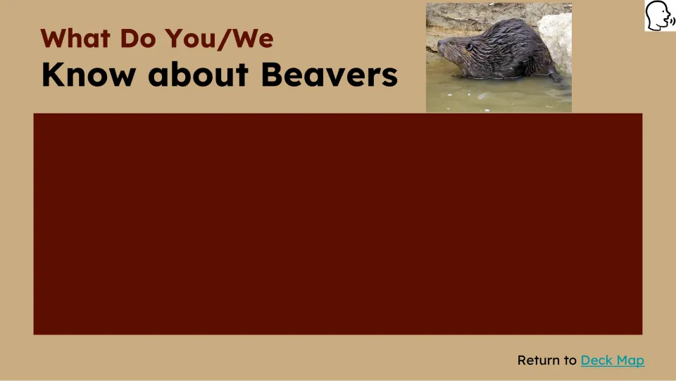 Prior-knowledge slide asks what students know about beavers, with a beaver in water and space to respond