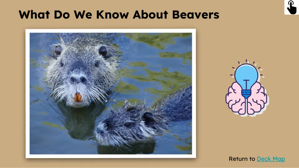 Follow-up prior-knowledge slide pairs 'What Do We Know About Beavers' with two swimming rodents